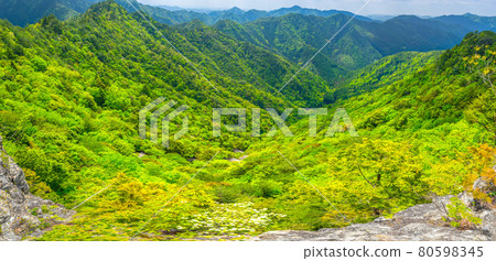 禿山、山頂影像和美景（兵庫縣姬路市夢崎町）*作品評論區拍攝位置 80598345