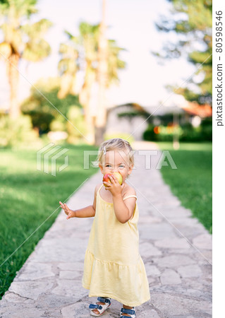 Little girl stands on a paved path in the park and gnaws an apple Little girl stands on a paved path in the park and gnaws an apple 80598546