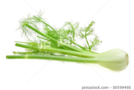 Fennel isolated on the white background Fennel isolated on the white background 80599498