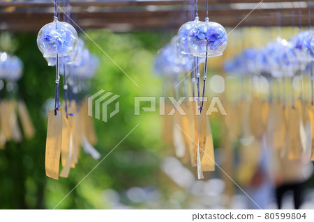 Seijuin Summer Wind Bell Festival Seijuin Summer Wind Bell Festival 80599804