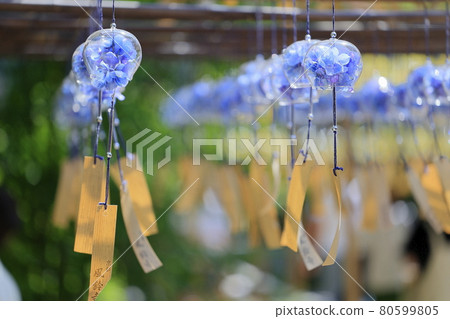 Seijuin Summer Wind Bell Festival Seijuin Summer Wind Bell Festival 80599805