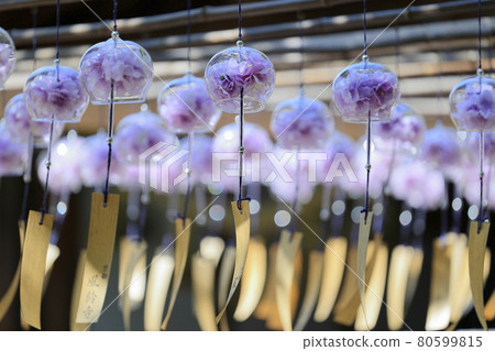 Seijuin Summer Wind Bell Festival Seijuin Summer Wind Bell Festival 80599815