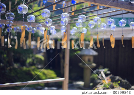 Seijuin Summer Wind Bell Festival 80599848