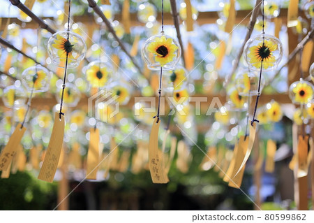 Seijuin Summer Wind Bell Festival Seijuin Summer Wind Bell Festival 80599862