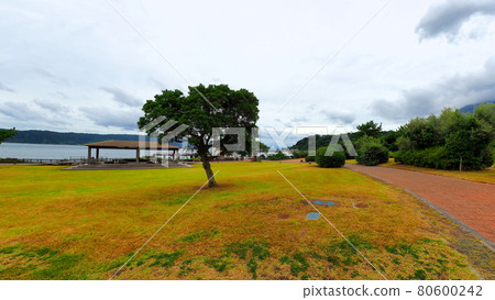 Sakurajima Lava Nagisa Park 2 80600242