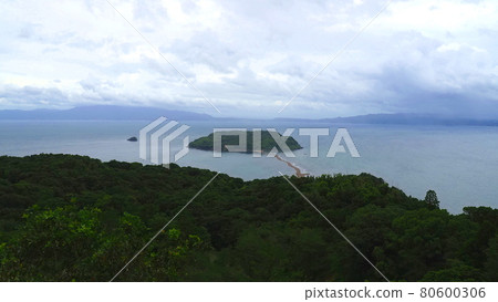 魚岳4的知林島 魚岳4的知林島 80600306