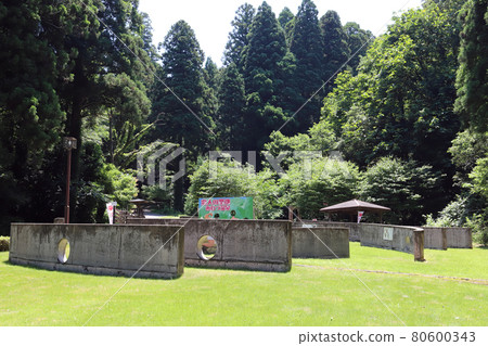戀人的聖地蘆津溫泉(石川縣小松市) 戀人的聖地蘆津溫泉(石川縣小松市) 80600343