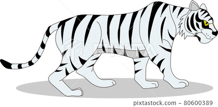 白虎插圖（水平/陰影） 80600389