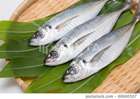 竹莢魚 竹莢魚 80600507