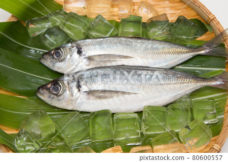 Horse mackerel horse mackerel 80600557