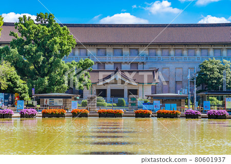 東京上野御史公園的城市景觀竹野台廣場周圍的風景 80601937