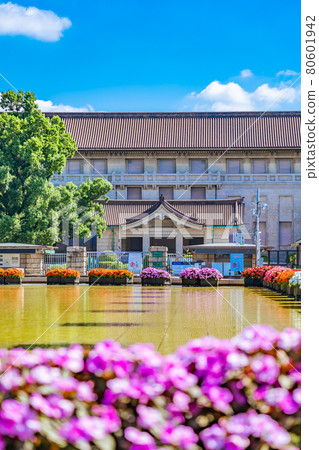 東京上野御史公園的城市景觀竹野台廣場周圍的風景 東京上野御史公園的城市景觀竹野台廣場周圍的風景 80601942