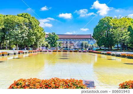 東京上野御史公園的城市景觀竹野台廣場周圍的風景 80601943