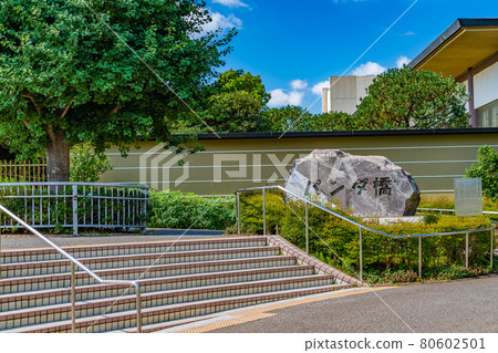 東京城市景觀 上野站熊貓橋周邊 80602501