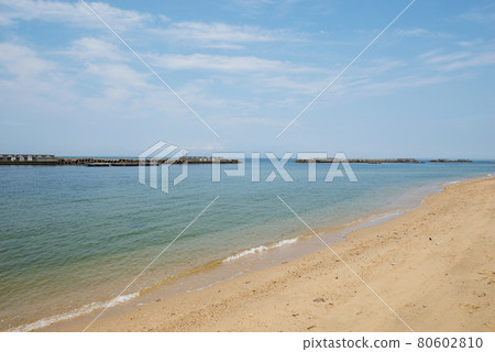 Tannowa Tokimeki Beach 80602810
