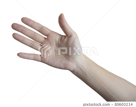 Pose with the palm of your right hand open Pose with the palm of your right hand open 80603214