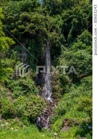 Hakuryunotaki (a waterfall full of refreshing feeling that the legend of Shoryu remains) / Kono, Minamiechizen Town, Nanjo District, Fukui Prefecture 80603243