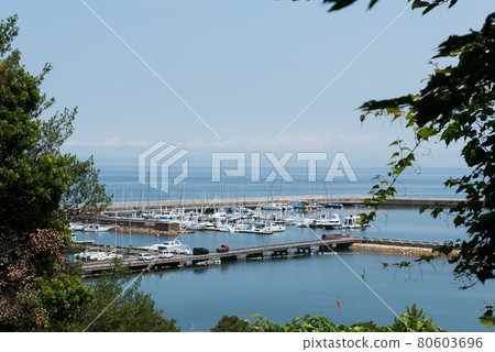 Tannowa 城市景觀 80603696