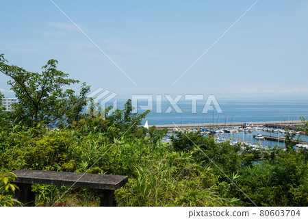 Tannowa cityscape 80603704