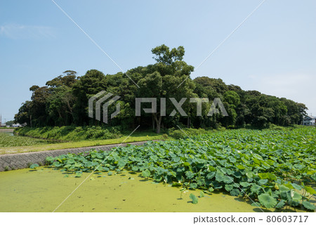 Tannowa Nisanzai Tomb 80603717