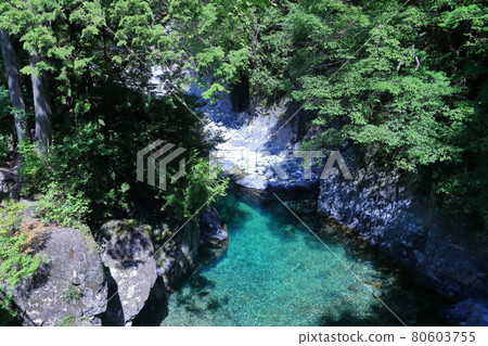 從狗回來的路上野尻、奧和村、木曾郡、長野阿特拉谷阿特拉藍 80603755