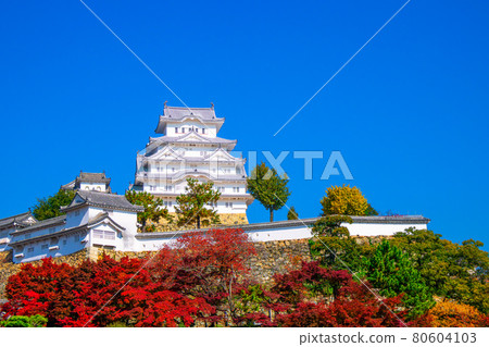 Himeji castle in autumn 80604103