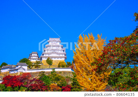 姬路城堡在秋天 80604135