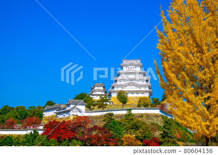 姬路城堡在秋天 姬路城堡在秋天 80604136