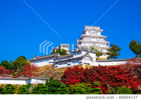 姬路城堡在秋天 80604137