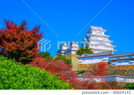姬路城堡在秋天 姬路城堡在秋天 80604143