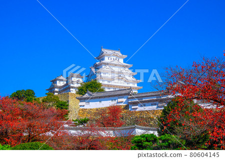姬路城堡在秋天 姬路城堡在秋天 80604145