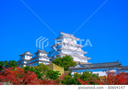 姬路城堡在秋天 姬路城堡在秋天 80604147