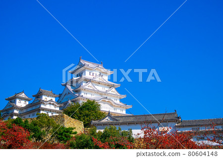 姬路城堡在秋天 姬路城堡在秋天 80604148