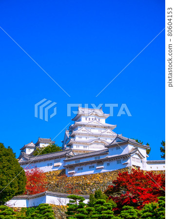 Himeji castle in autumn Himeji castle in autumn 80604153