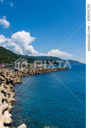 越前海岸越前海岸旅遊公園（福井縣）福井縣入新區越前町梅浦 80604236