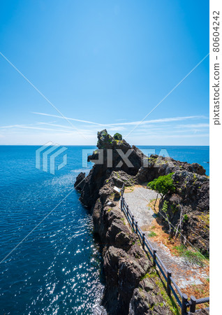 越前海岸越前海岸旅遊公園（福井縣）福井縣入新區越前町梅浦 80604242