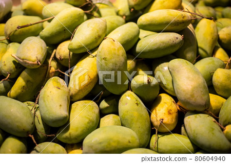 Texture of green juicy fresh mango fruit. Group of fresh green mango for sell .Thai fruit tropical raw mangoes. Tropical and exotic fruits. Texture of green juicy fresh mango fruit. Group of fresh green mango for sell .Thai fruit tropical raw mangoes. Tropical and exotic fruits. 80604940