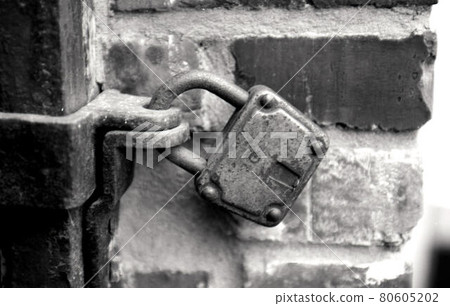 奧斯威辛 80605202