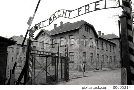 Auschwitz 80605214