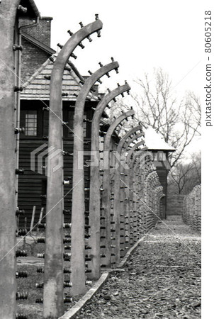 Auschwitz 80605218