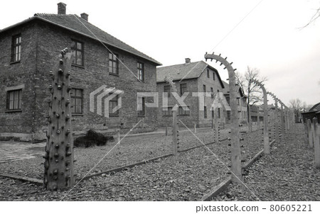 Auschwitz 80605221