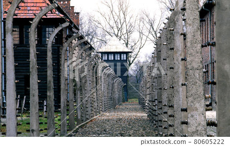 Auschwitz 80605222