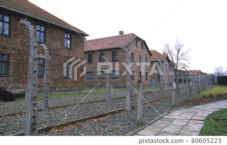 Auschwitz 80605223
