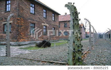 Auschwitz 80605225