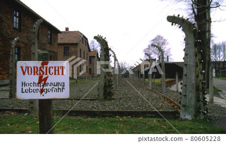 Auschwitz 80605228