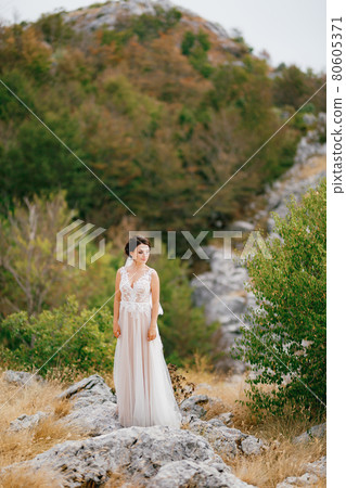A sophisticated bride in a delicate lace dress stands on the rocks among the greenery in the mountains A sophisticated bride in a delicate lace dress stands on the rocks among the greenery in the mountains 80605371