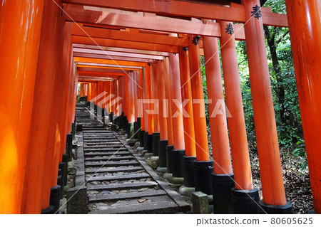 Stairs and Senbon Torii [Fushimi Inari Taisha] / Fushimi Ward, Kyoto City, Kyoto Prefecture 80605625
