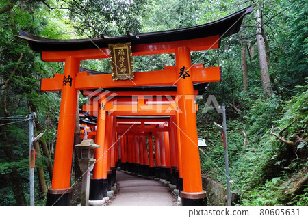 The approach to Senbon Torii [Fushimi Inari Taisha] / Fushimi Ward, Kyoto City, Kyoto Prefecture 80605631