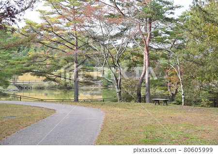 Arima Fuji Park Arima Fuji Park 80605999