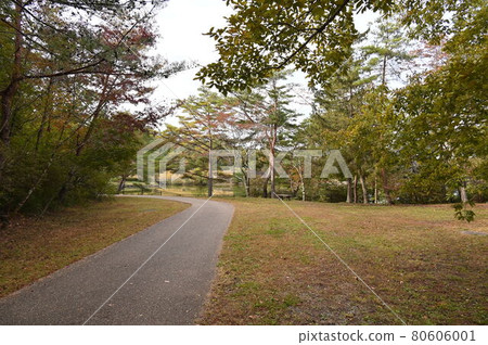 Arima Fuji Park 80606001